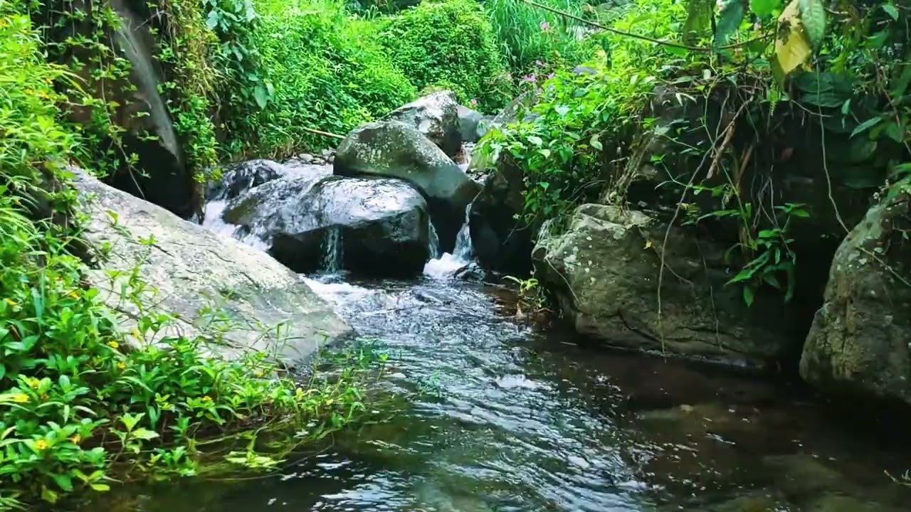 River White Noise — Soothing Water Flowing Stream Sounds for Deep Sleep, Focus and Study
