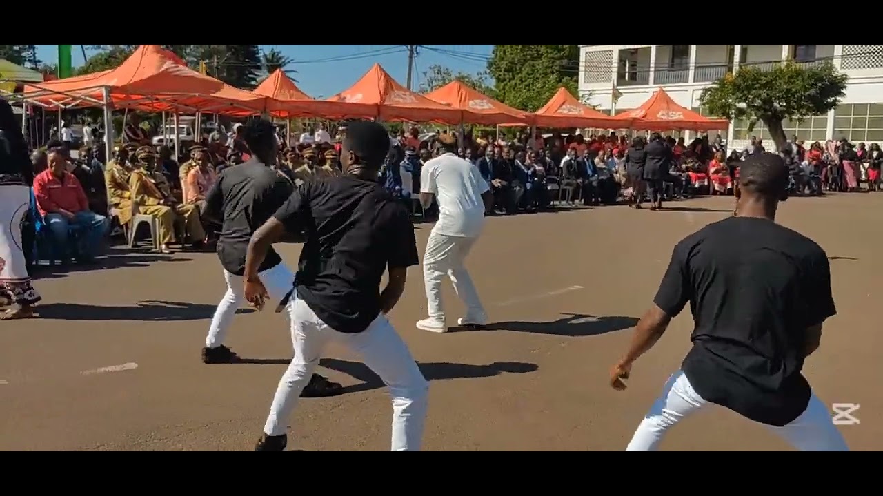 Mr Tonito Performance Chibuto