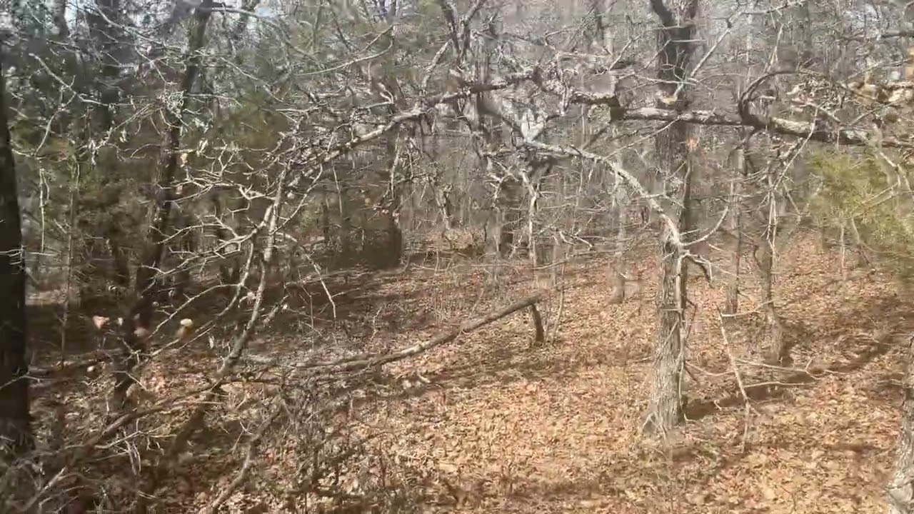 Vlog: taking a walk