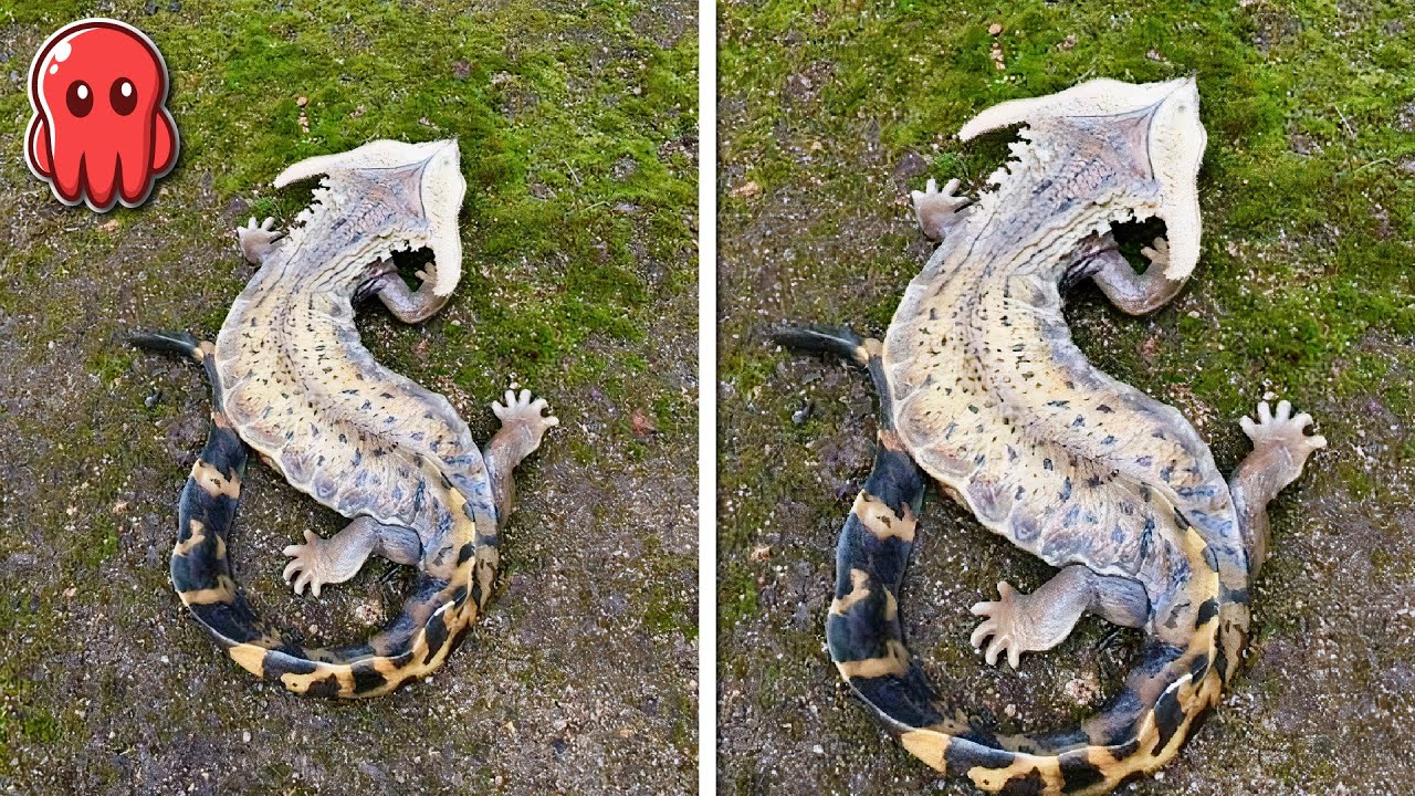 10 Animales Raros Descubiertos Recientemente