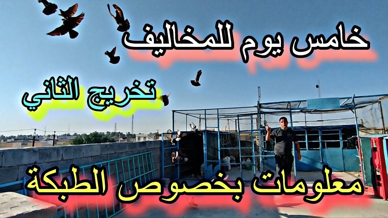 تخريج المخاليف ..معلومات بخصوص الطبكة 2/9/2024