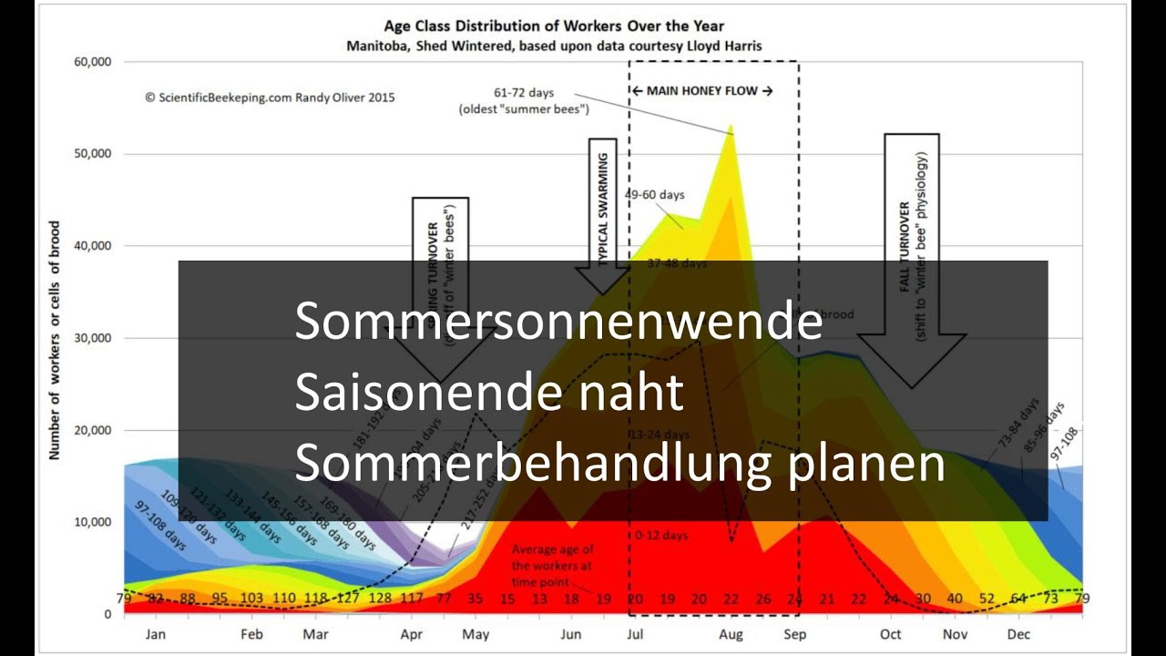 Sommersonnenwende - Sommerarbeiten planen