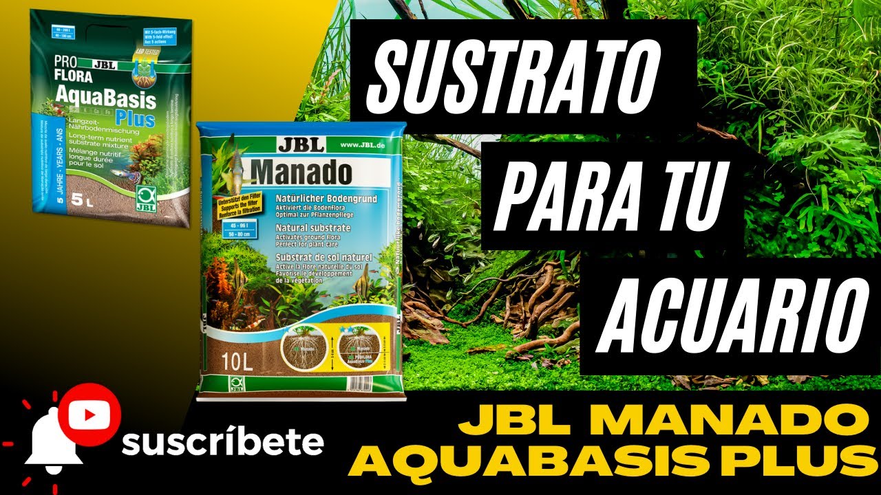 JBL MANADO y AQUABASIS PLUS. SUSTRATO PARA ACUARIOS