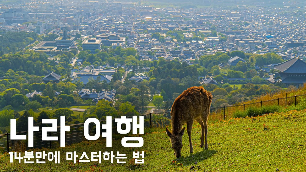 🇯🇵 나라 여행을 0부터 제대로 이해하는 법