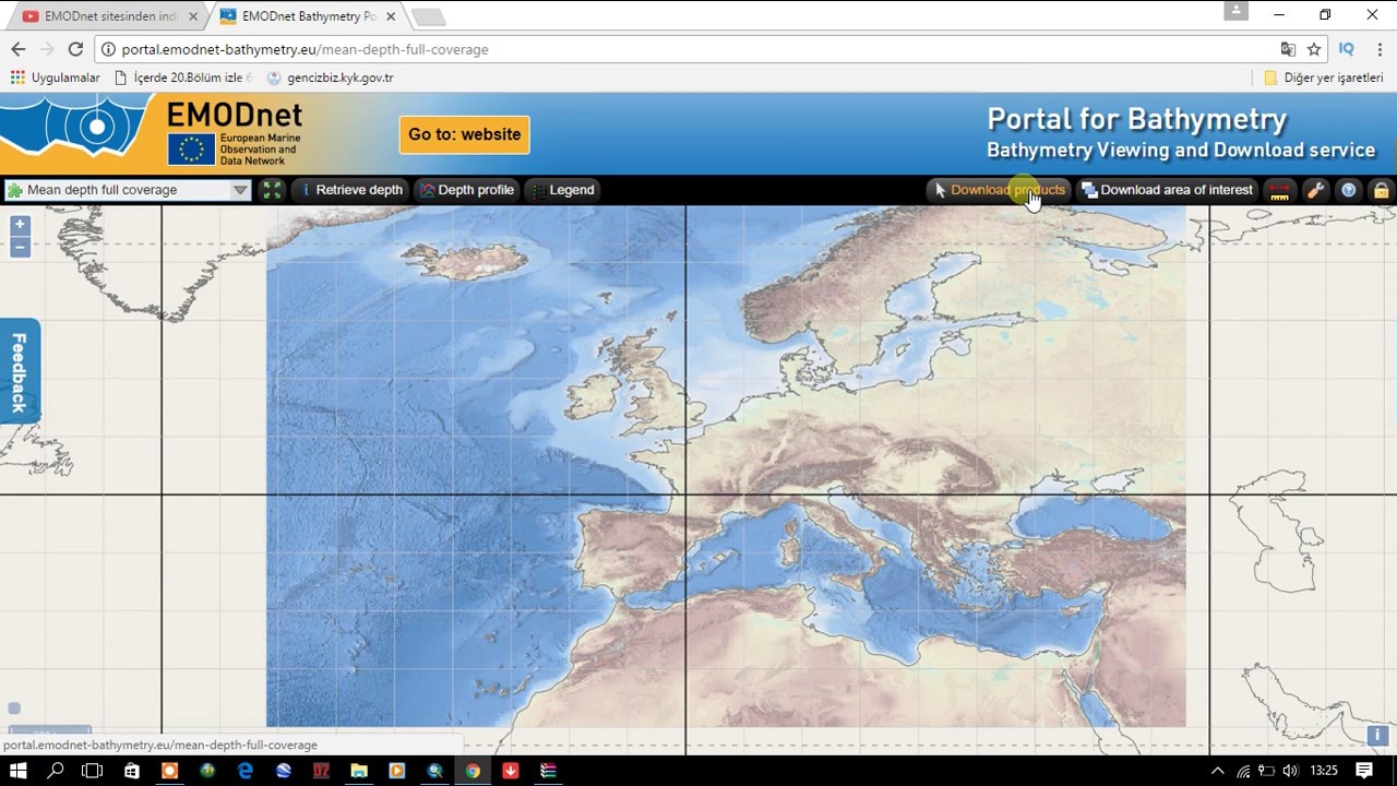 ArcGis Batimetri (EMODnet sitesinden indirilen verilerle Batimetri Haritası Yapımı)