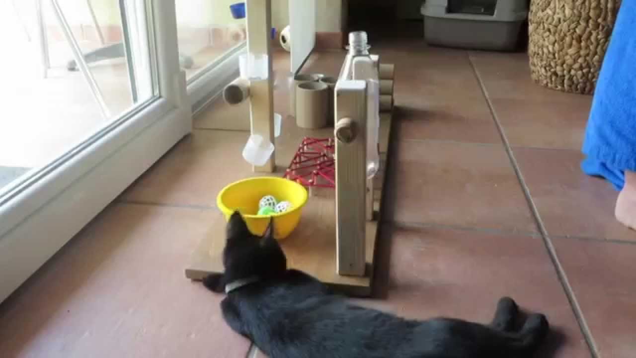Fummelbrett de Luxe - für fortgeschrittene Fummel Katzen - funny cat
