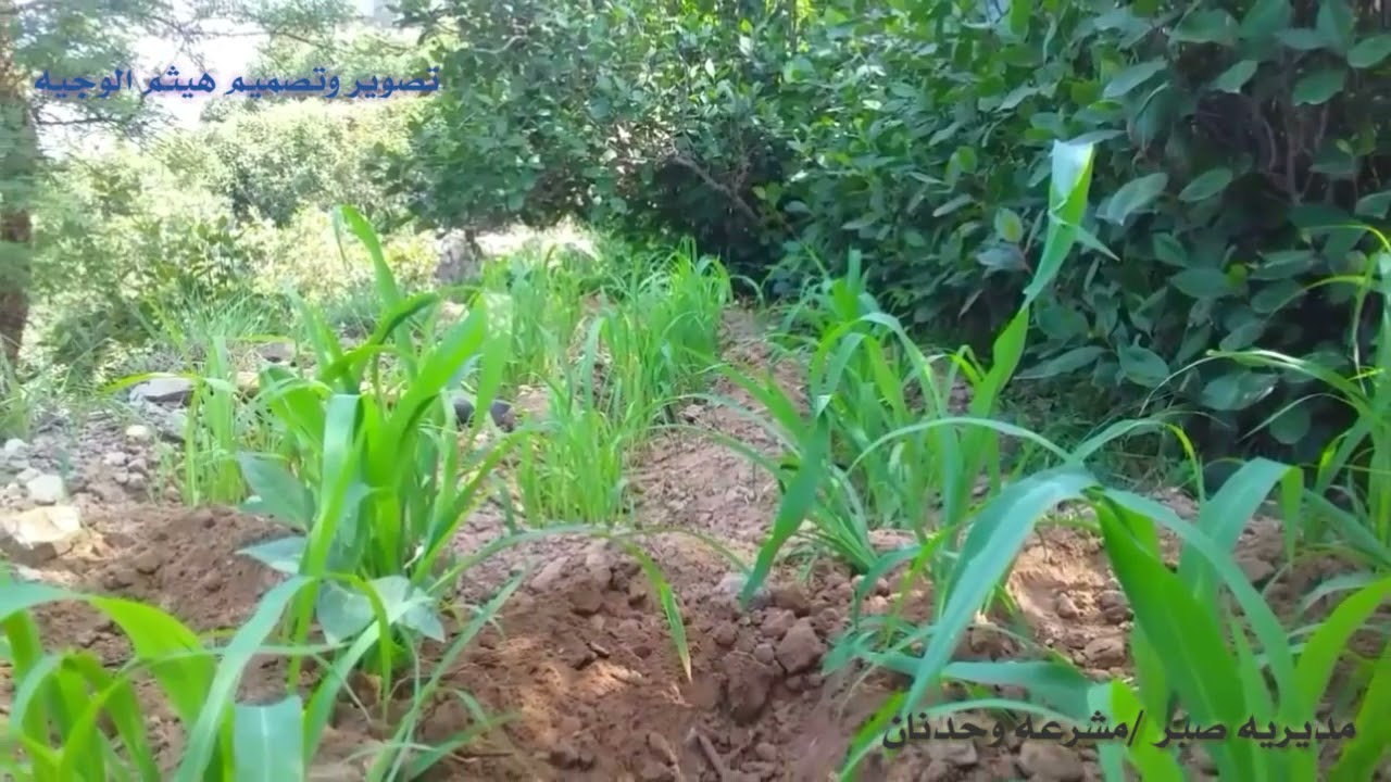  الحبيبه صبر مشرعه وحدنان تصوير عاالطريق اجواء خرافيه في عالم الجمال