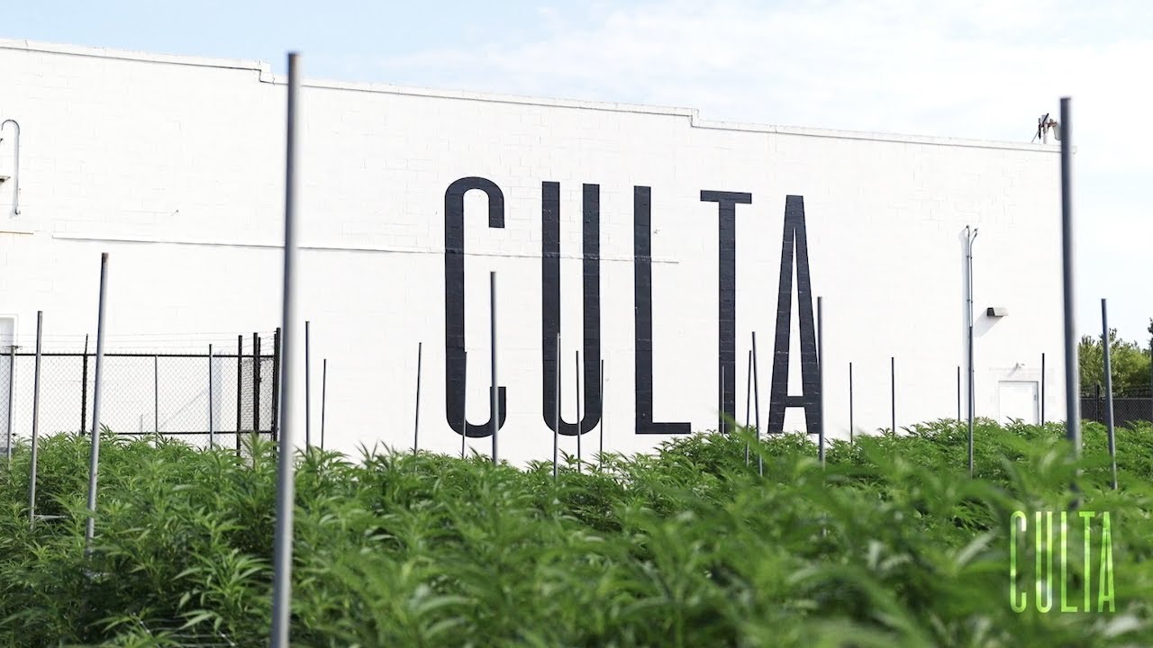 CULTA Highlight Reel