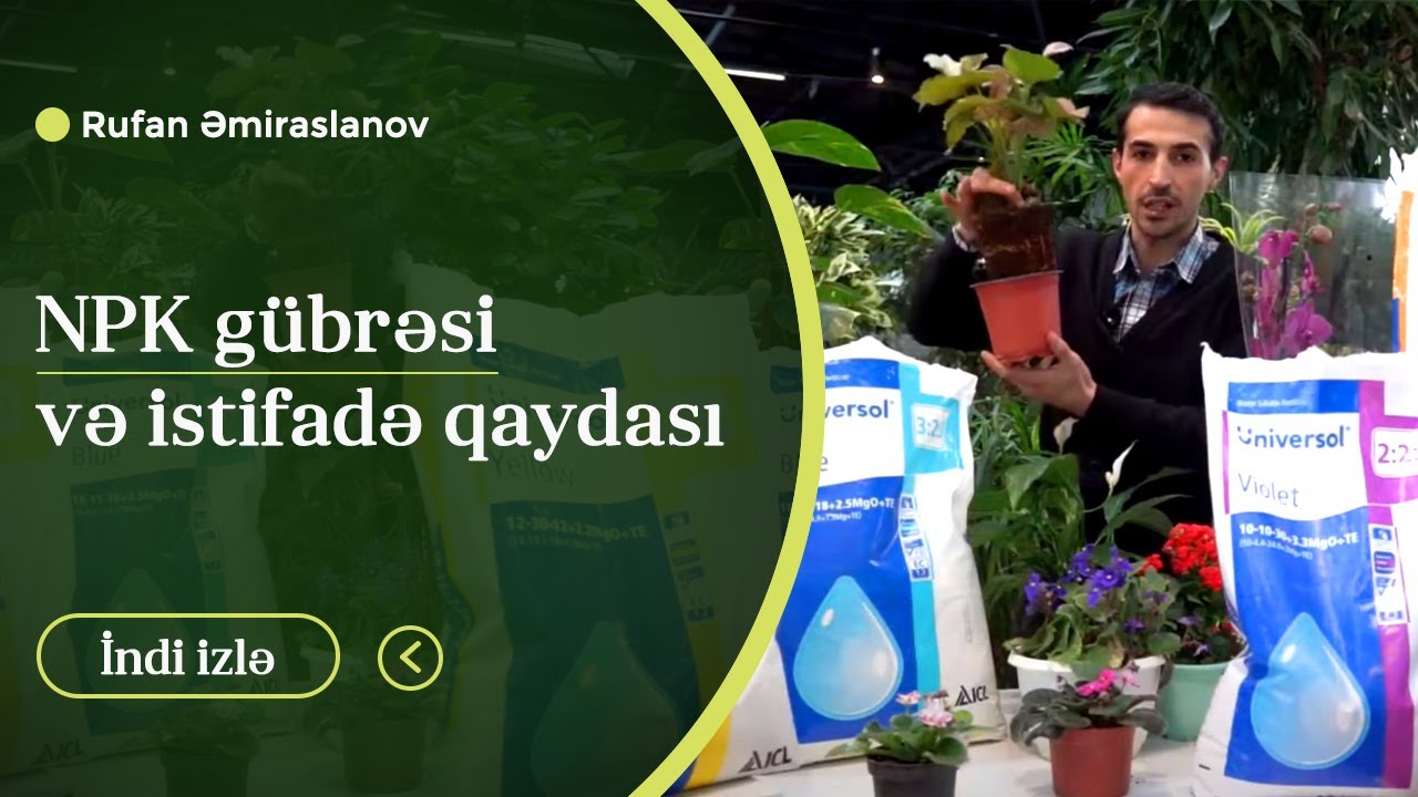 NPK g&uuml;brəsi və istifadə qaydası #g&uuml;bre