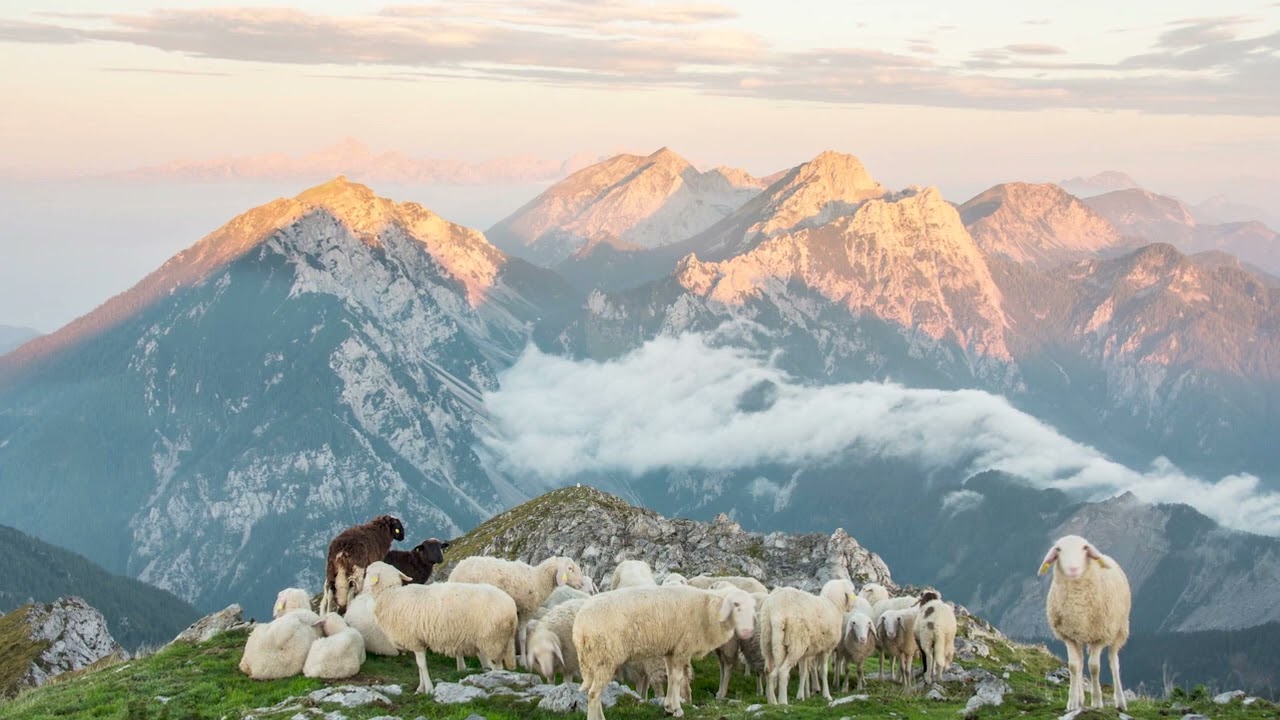 Slovenske planinske pesmi Slovenian highland songs Anton Habjan Jernej Jemc