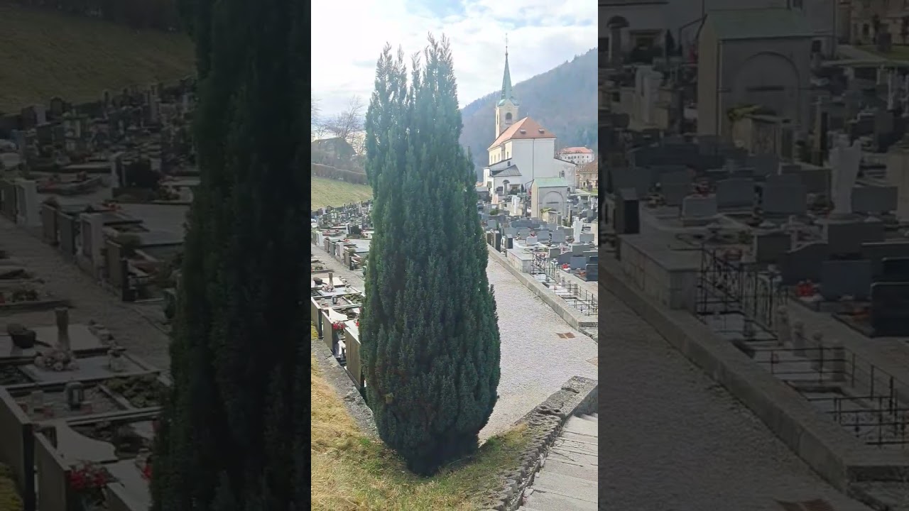 Tržič ...Beautiful Cemetery that I've ever seen...