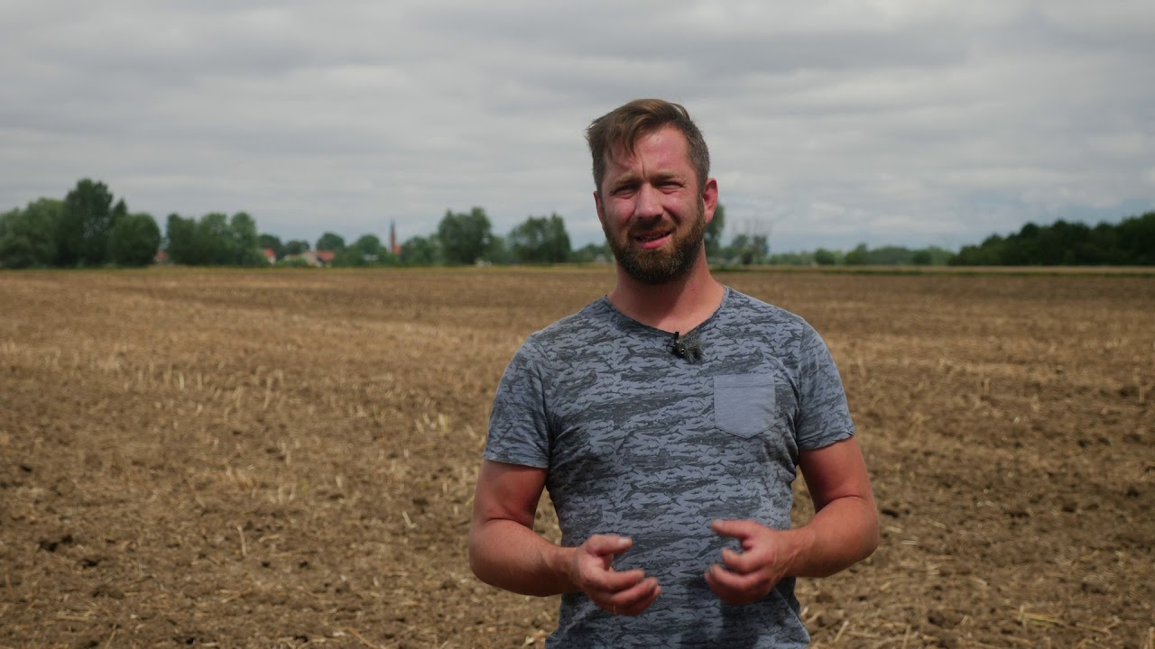 Jaką odmianę rzepaku wybrać?