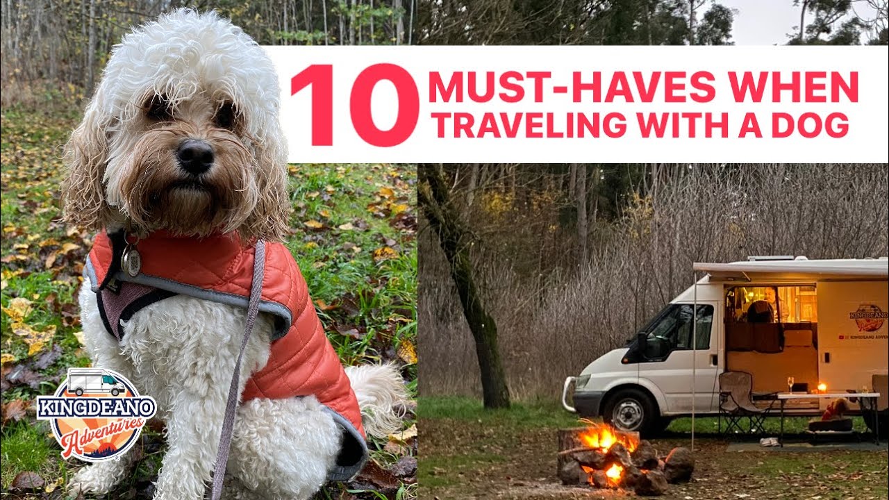 Top 10 Must-Haves When Traveling With a Dog / Dog Travel Essentials / Dog Traveling Tips / Dog Care