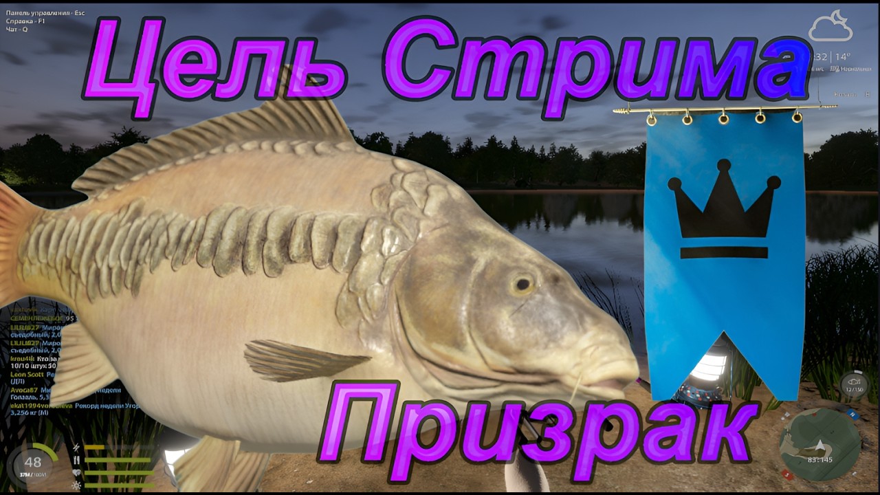В поиске Трофа! Розыгрыши ! Подарки для зрителей !