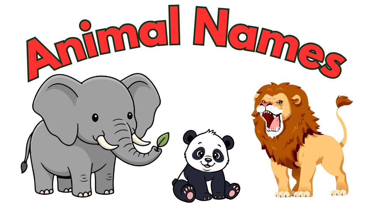 Learn Animal Names for Kids & Toddlers | Kids Learning Video  | Humna Video