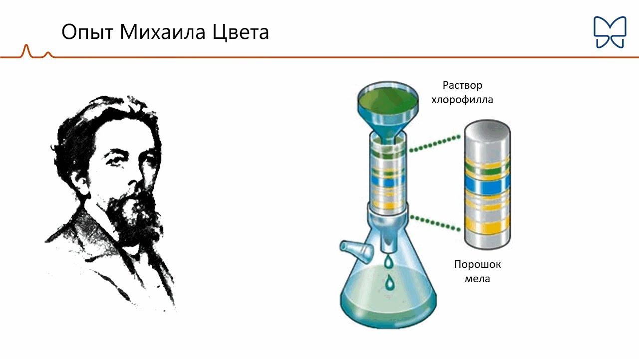 Хроматография.  Основы метода