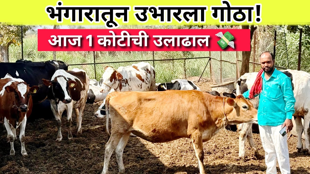 भंगारातून उभारला गोठा आज कोटींची उलाढाल 💸|