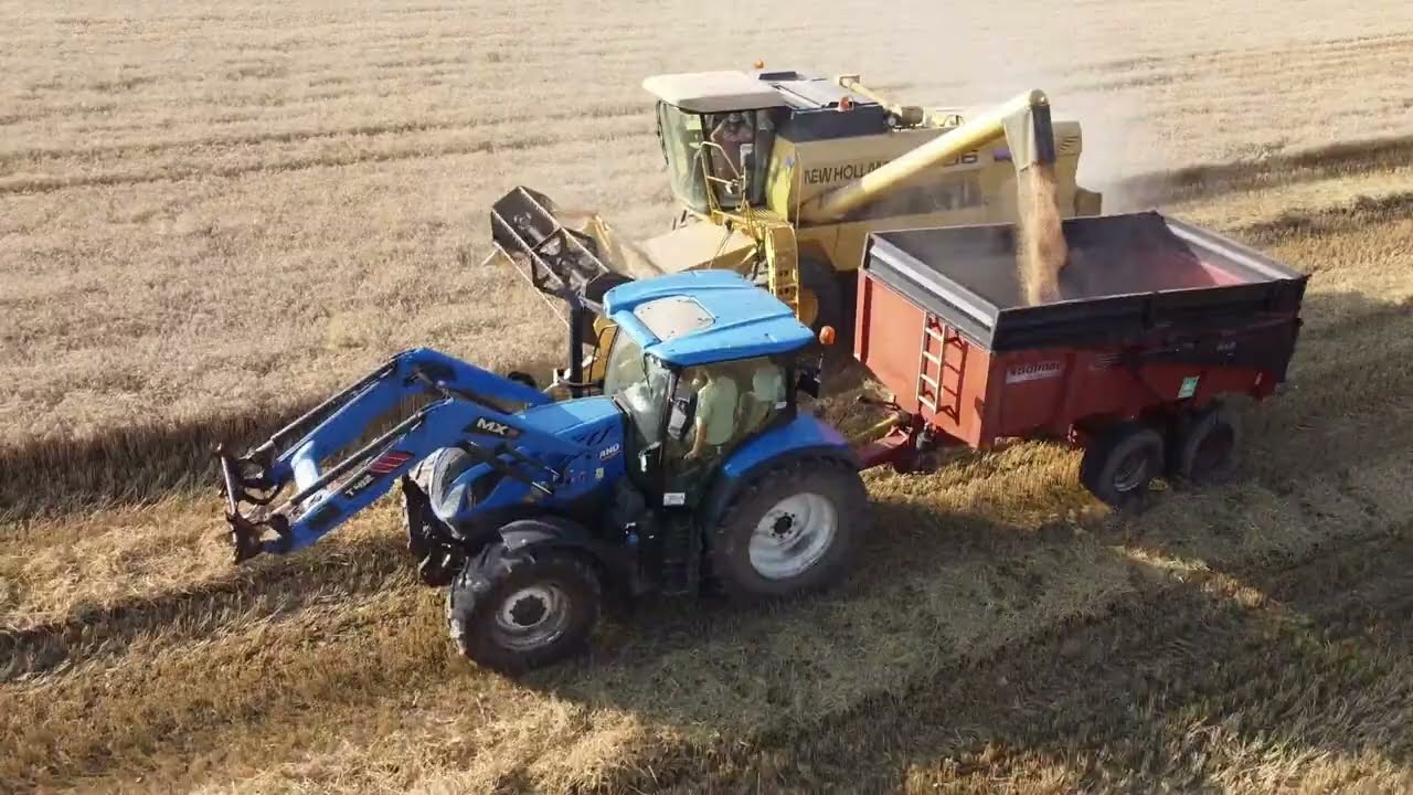 Moisson 2024