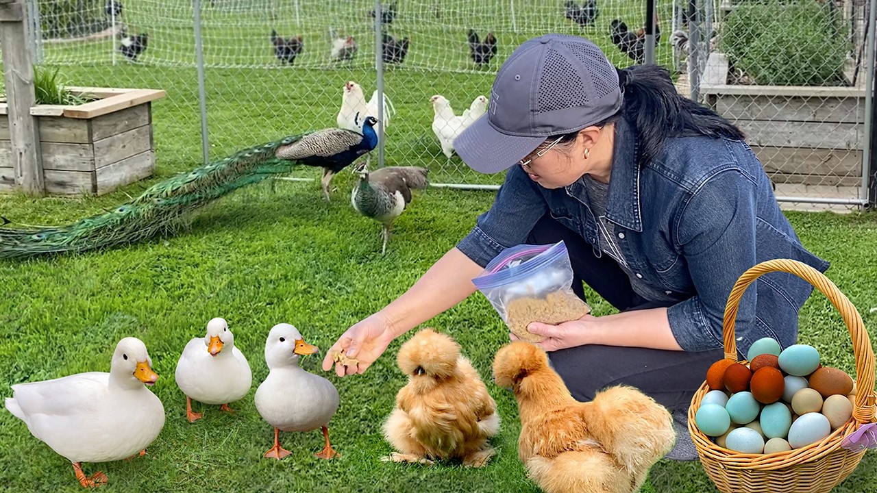 Nature Is the Best Medicine 🌿 A Peaceful, Simple Life in the Country