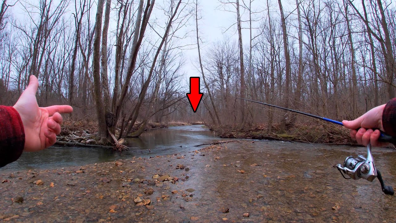TROUT Fishing The MOST Pressured Creek in Pennsylvania