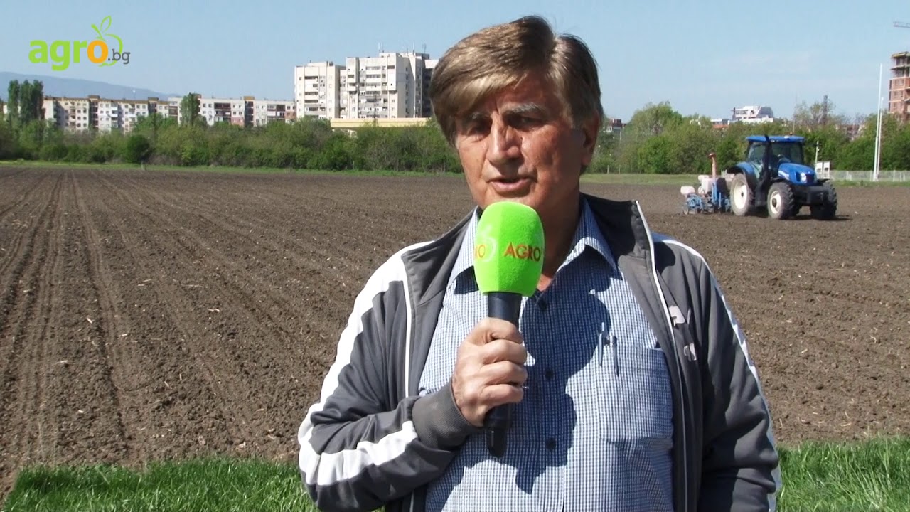 Научнообосновани решения от Corteva Agriscience за отглеждане на царевица