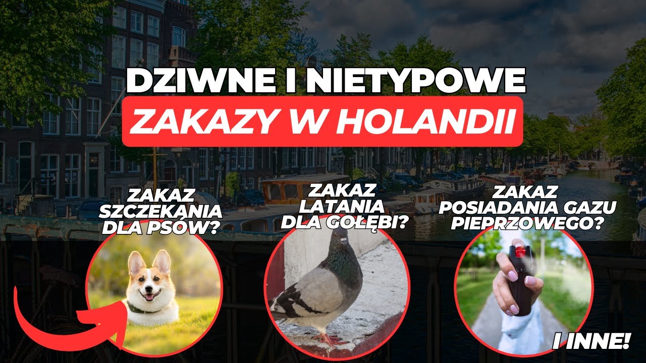 10 DZIWNYCH ZAKAZ&Oacute;W W HOLANDII!
