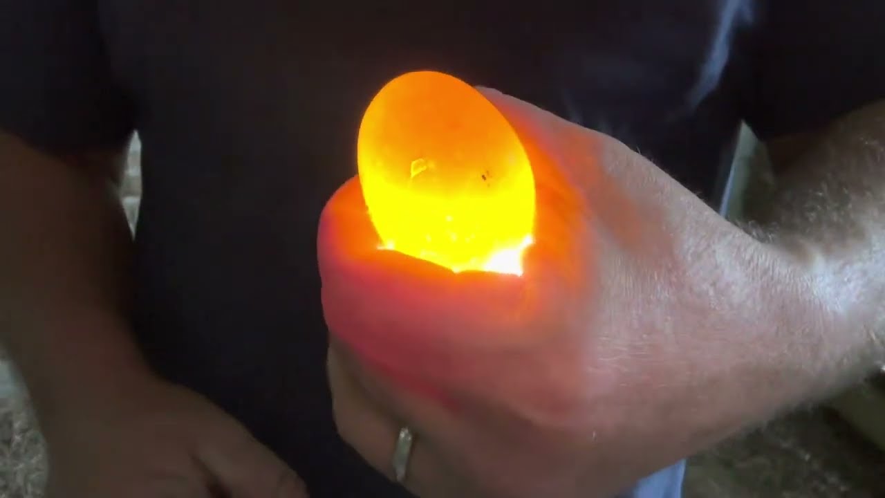 Candling silkie eggs.
