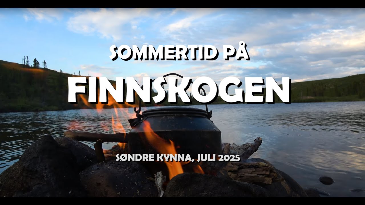 2025 - 07 - Sommertid på Finnskogen
