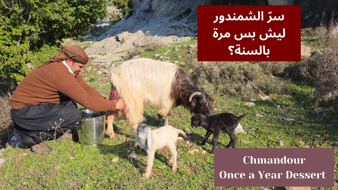 Once a Year in Lebanon: Chmandour, the First Goat Milk Dessert