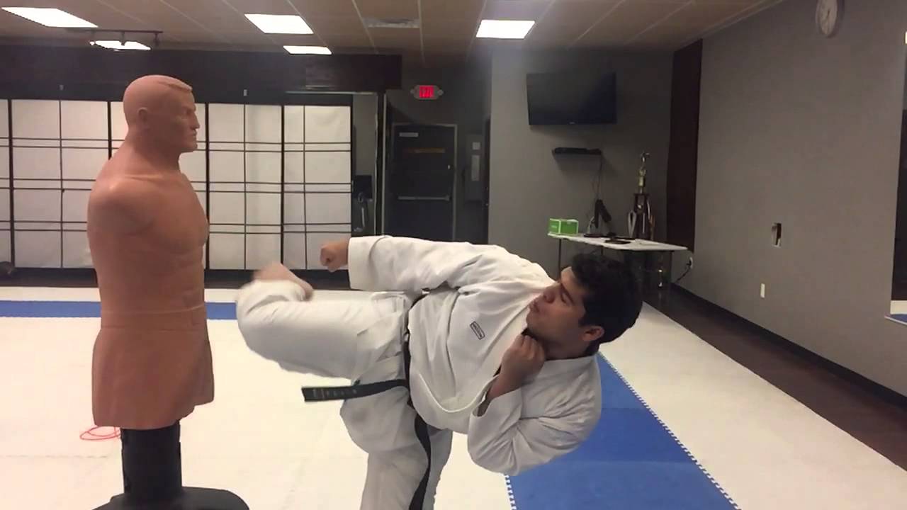 ROUND HOUSE KICK at Ageless Karate Las Vegas
