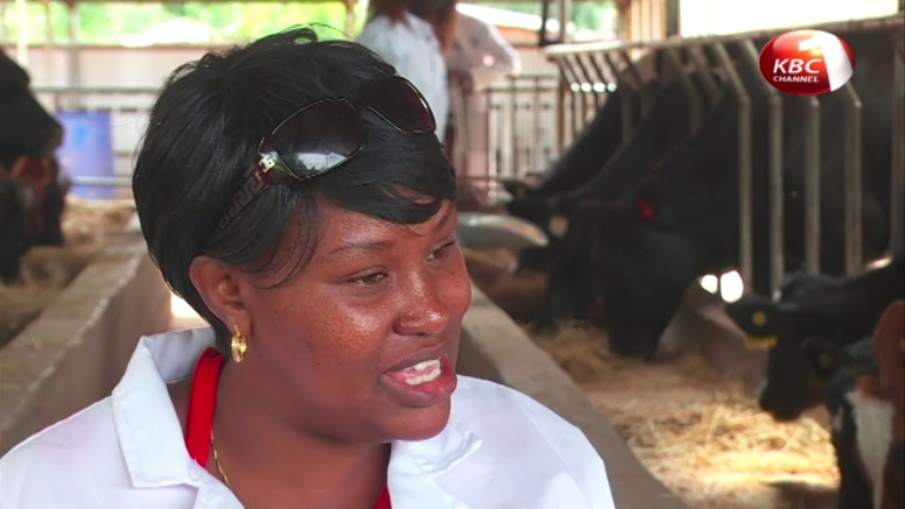 FARM TALK - DAIRY FARMING