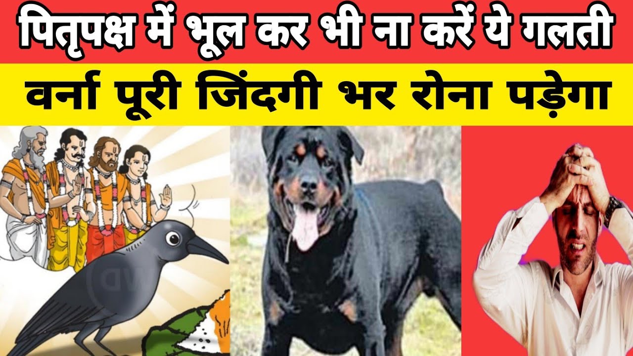 पितृपक्ष में भूल से भी न करना ये गलती वर्ना  हो जाओगे पितृदोष का शिकार 