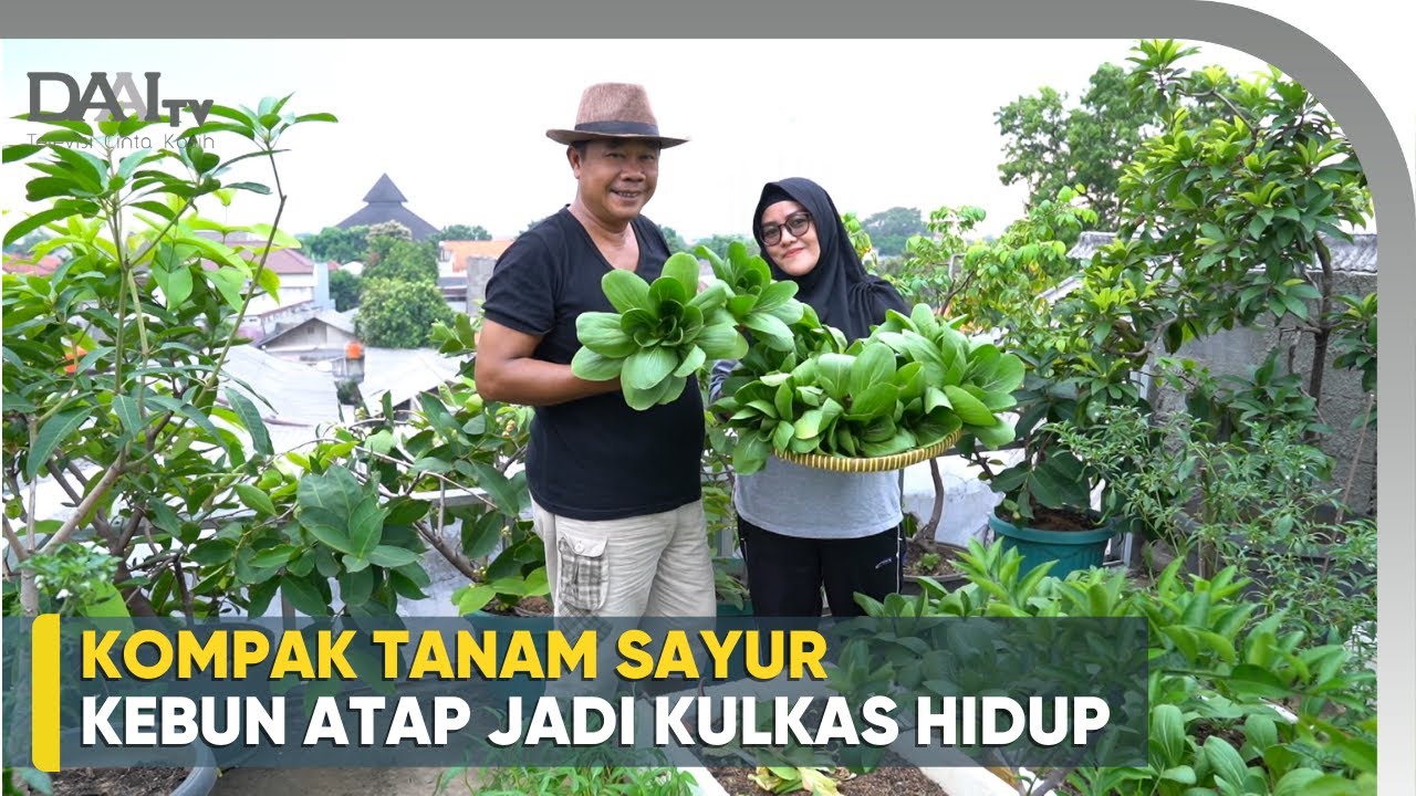 Asiknya Punya “Kulkas Hidup”. Mau Masak Tinggal Petik!