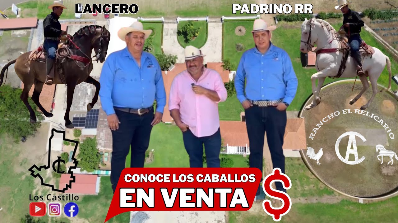 CONOCE LOS CABALLOS EN VENTA DE RANCHO EL RELICARIO DE PIHUAMO JALISCO