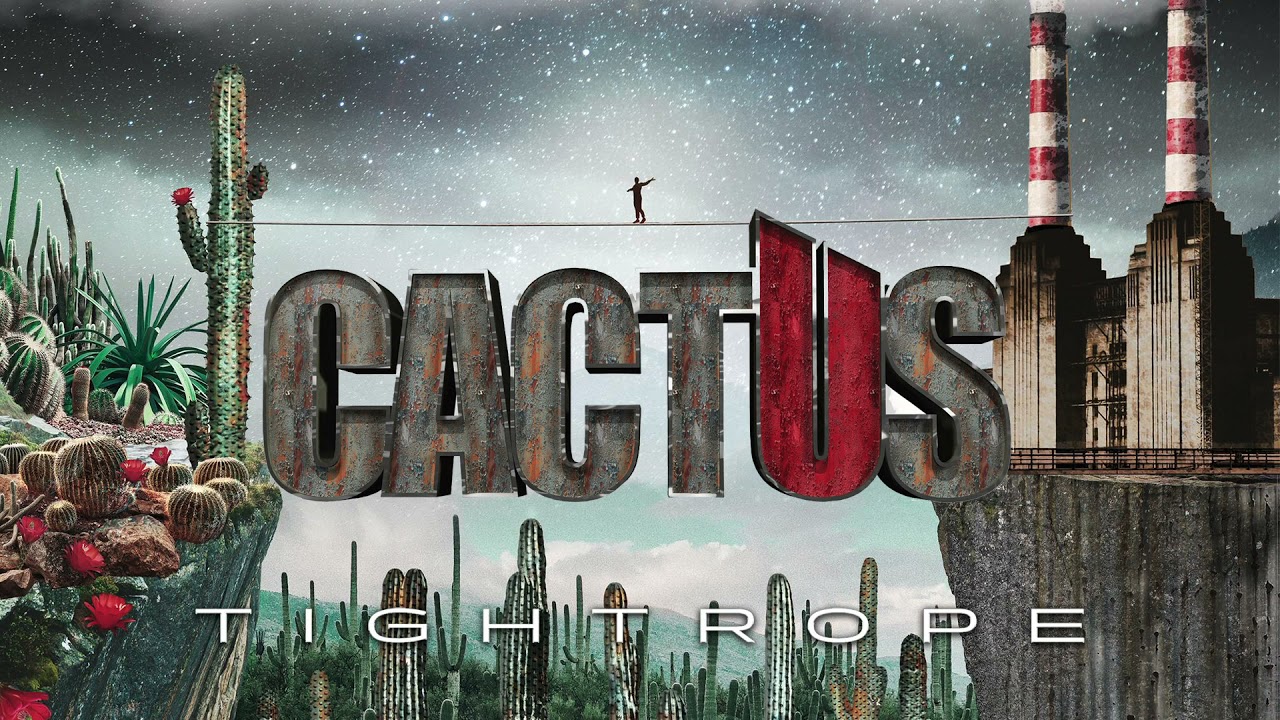 Cactus 