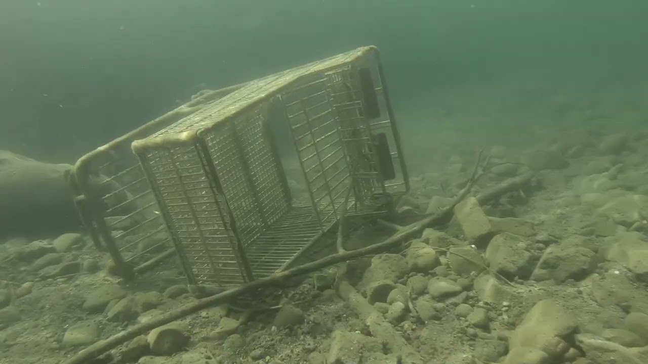 Snorkeling the Spokane River &mdash; Spokane Falls Blvd to Division Street