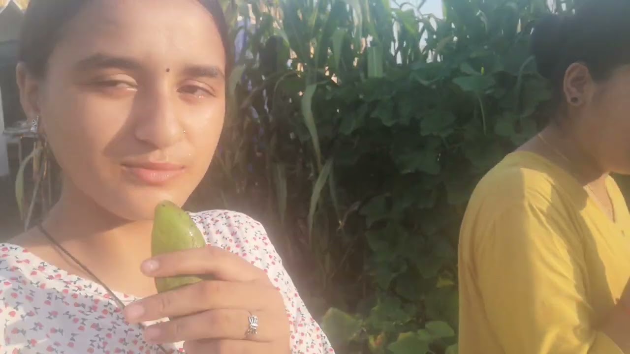Neha ko maite ghar ko Bari ma k k faleko xa