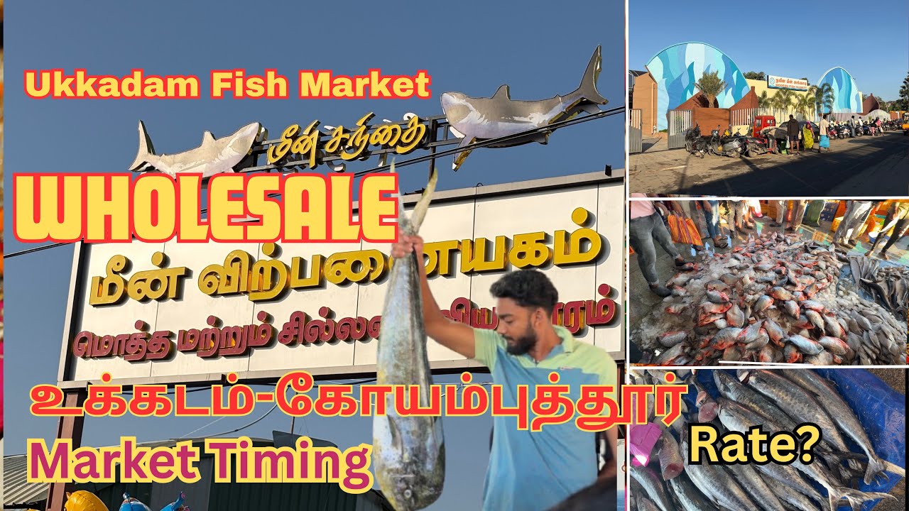 Ukkadam Fish Market உக்கடம் பெரிய மீன் சந்தை கோயம்புத்தூர் மீன் விலை & வழி   Coimbatore #Wholesale