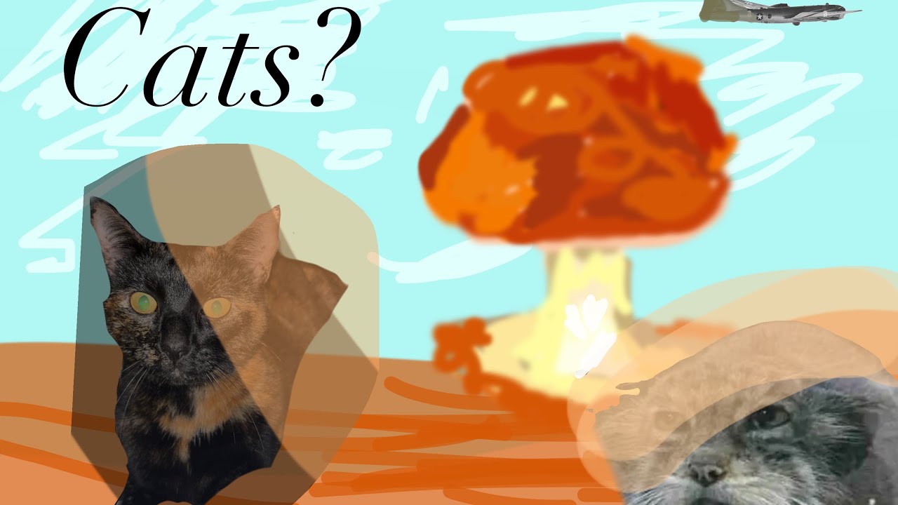 Cats in War Thunder