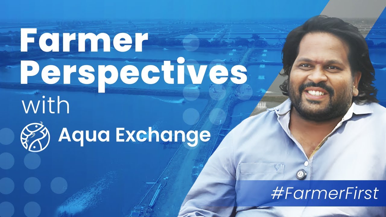 Shrimp Farmer Satish | Andhra Pradesh | Aquaculture farming with IoT devices from Aqua Exchange