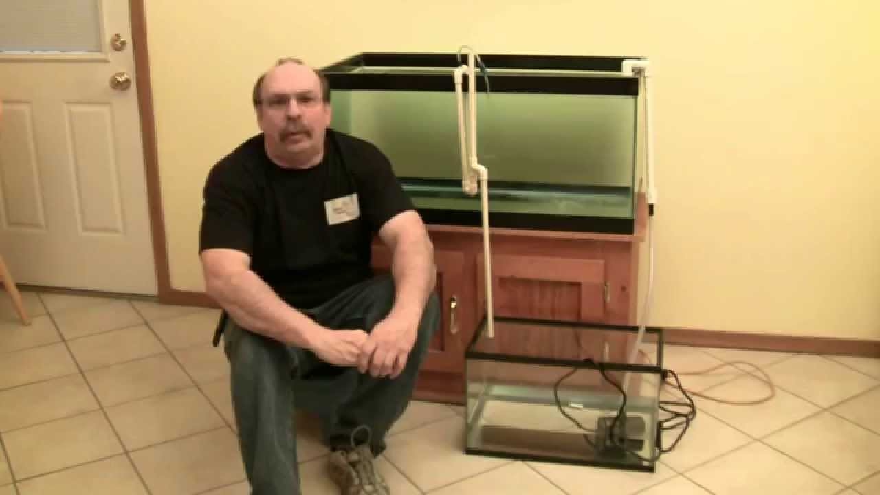 Aquarium Filter Series: 8/8: DIY Hang on Back Overflow for Aquariums