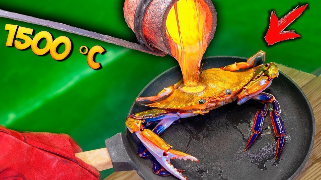 EXPÉRIENCE: CRABE vs LAVE EN FUSION + CUIVRE CHAUFFÉ AU ROUGE