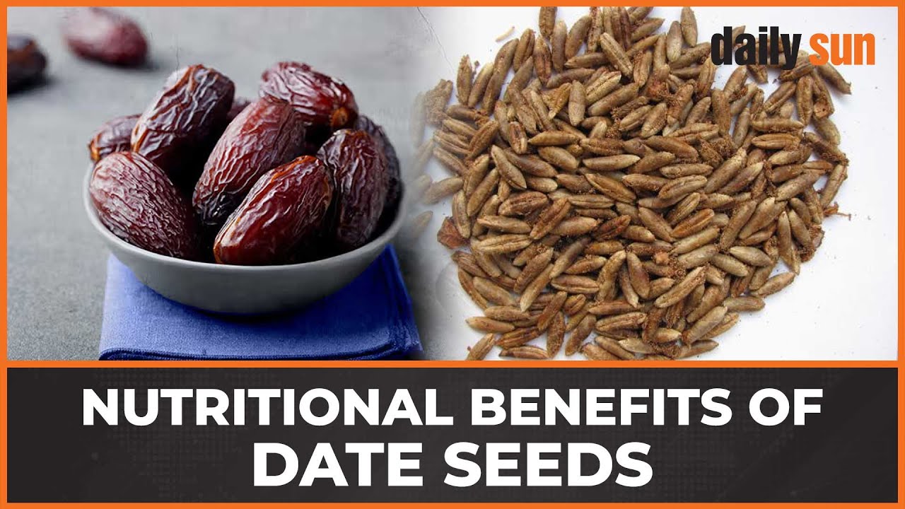 Date seeds can be eaten, and they have nutritional benefits | nutrition | Dates | Food | Daily Sun