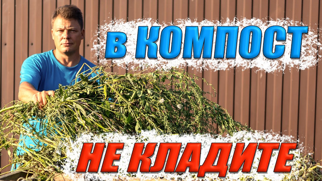 Самая лучшая закваска для компоста, какую траву нельзя класть в компост