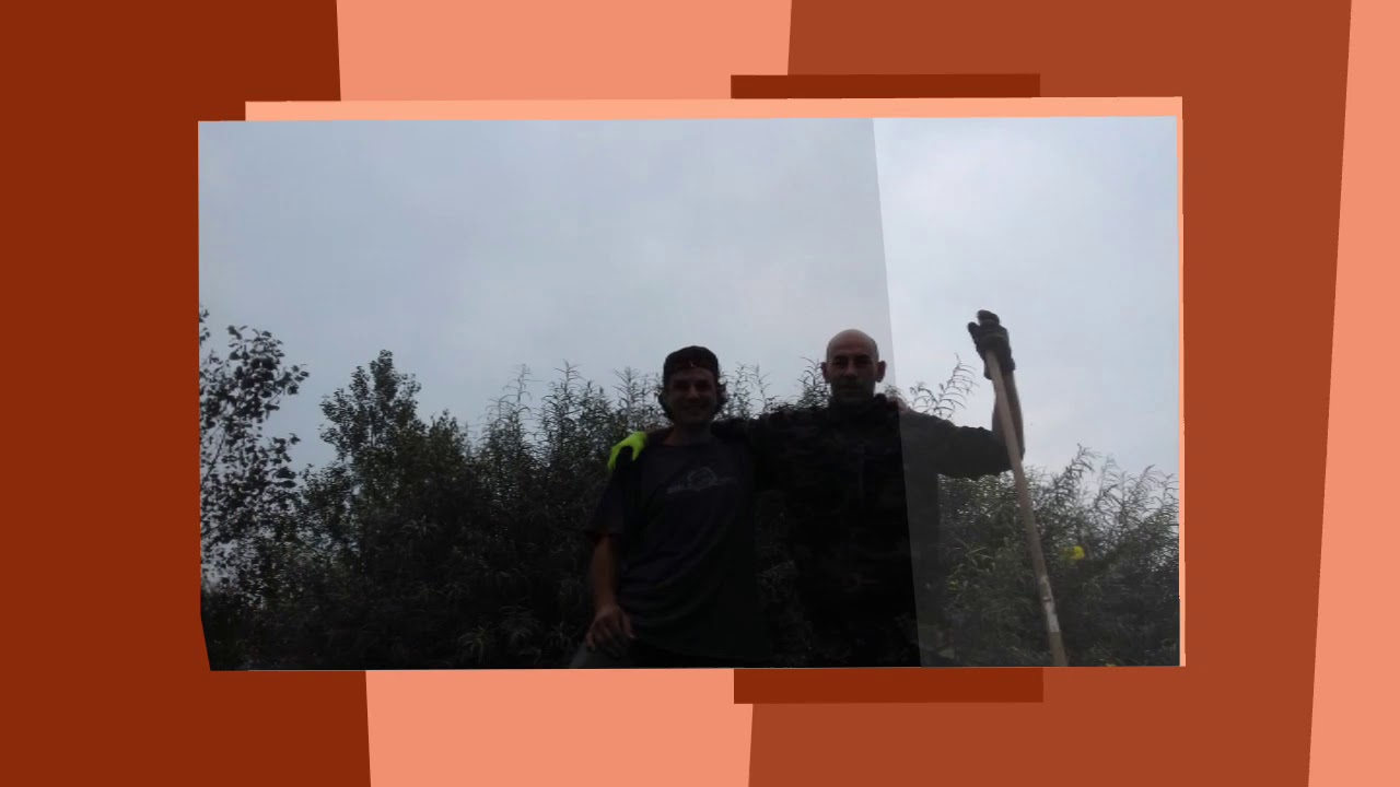 Ticino gold digger.  L'oro sotto l'albero  14&deg;giorno