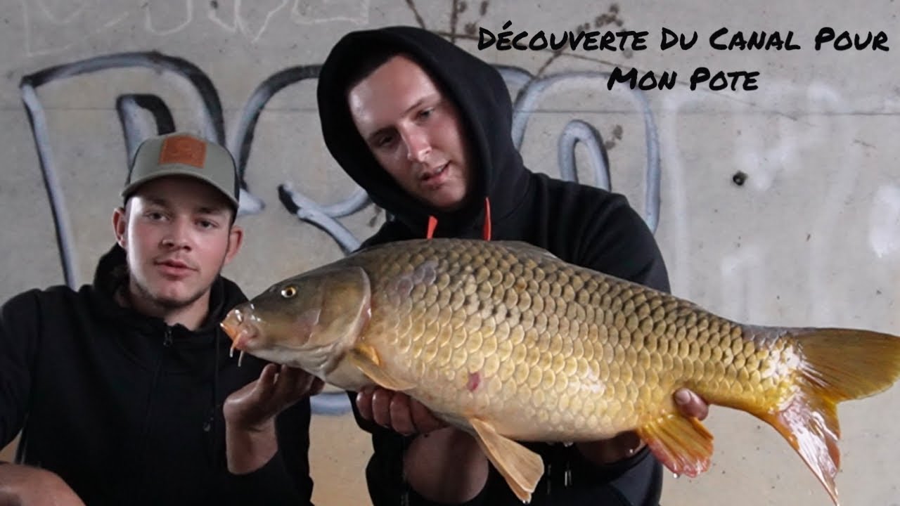 {CARPE} Découverte Du Canal De Bourgogne Pour Mon Pote Alsacien Peche Carpe Full Hd 1080P
