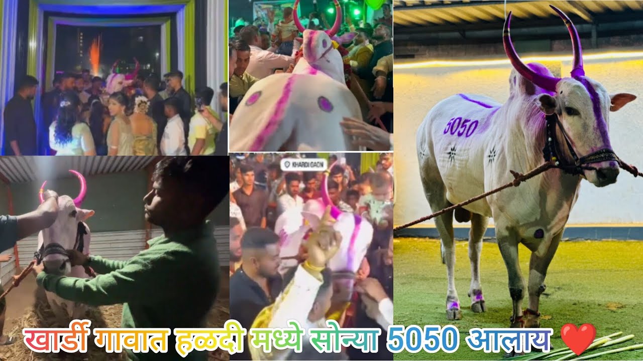 सोन्या आला खार्डी गावात हळदीला❤️सोन्याला आला राग😳😲#viral #sonya5050#shorts#trending #bailgadasharyat