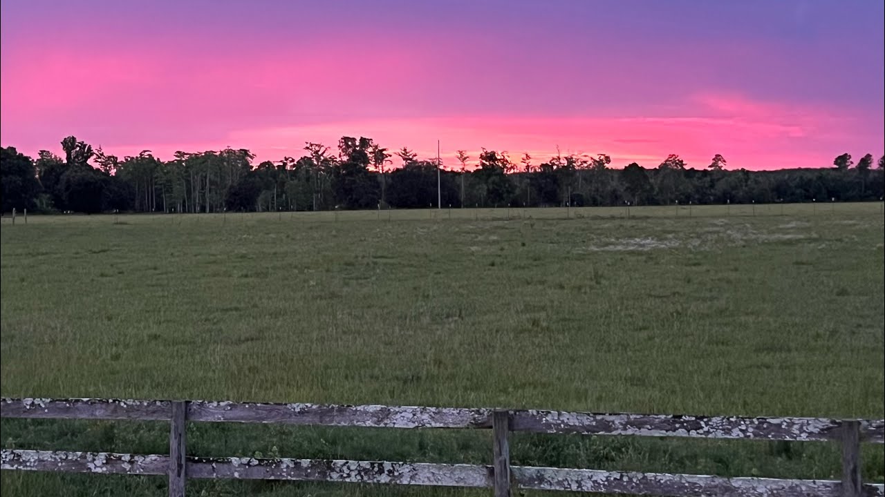 Fireside Chat: Is Homesteading the Solution to Economic Challenges? 