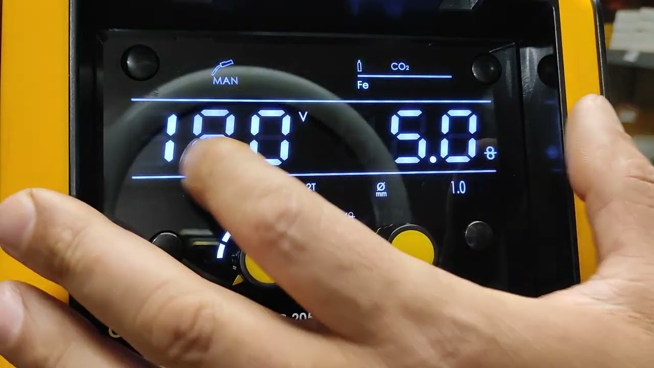 GORILA SILVERBACK 205 display