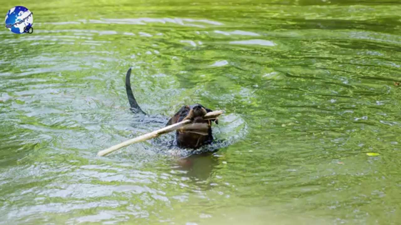 Meine Foto Pannen 2013